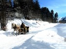 Winter Season in Bakuriani, Georgia